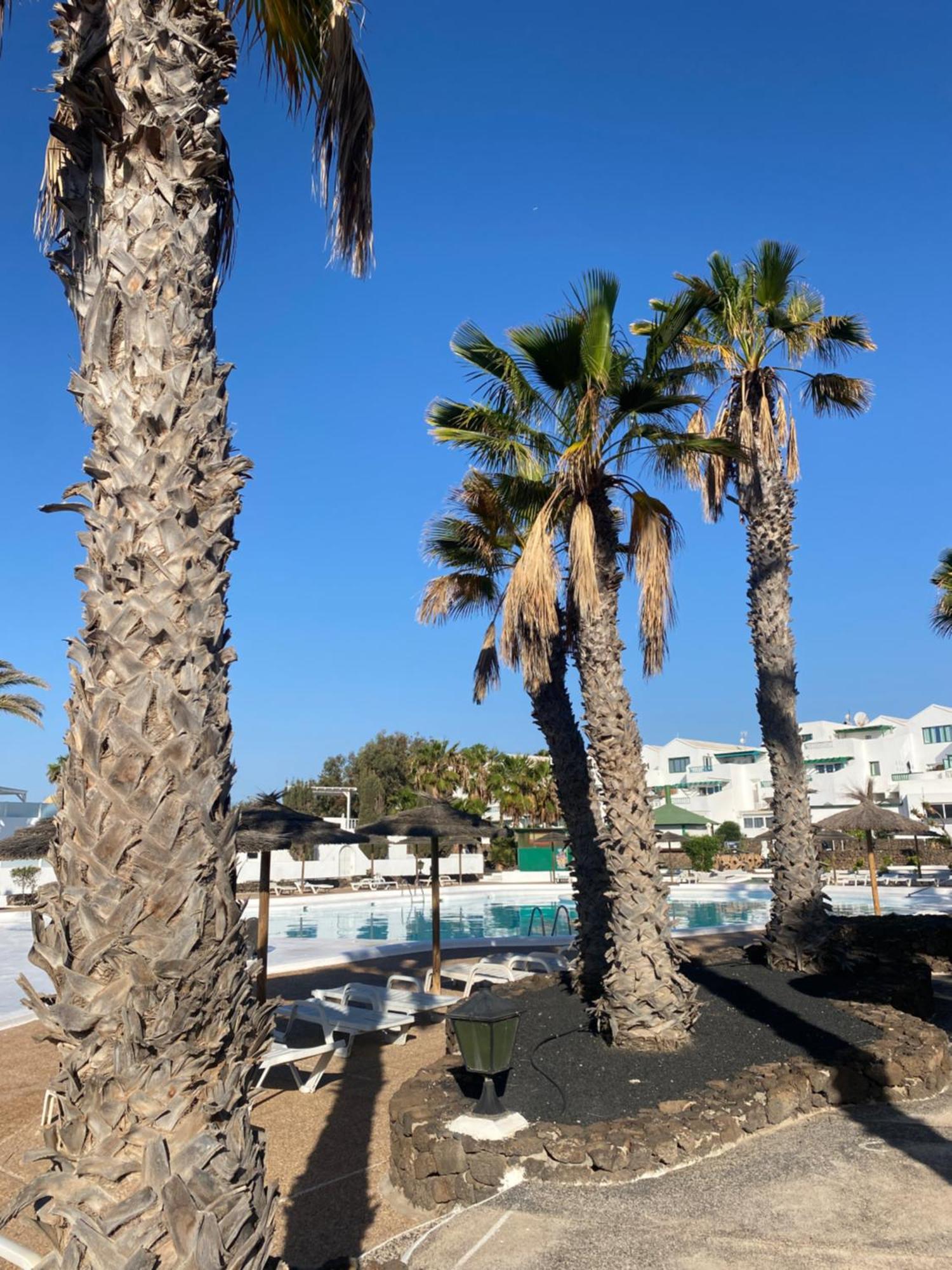 First Floor Apartment With Sea View, Costa Teguise Buitenkant foto